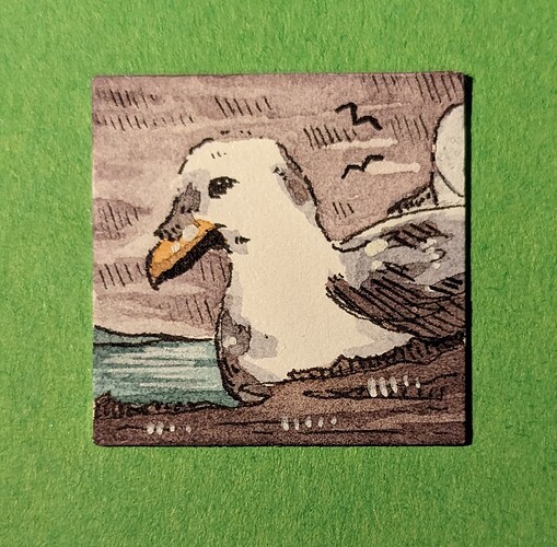 PXL_20221213_164353594