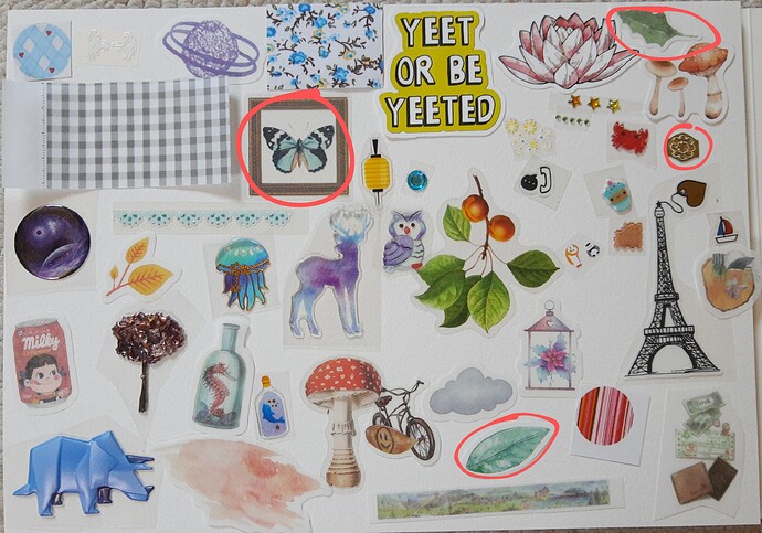 IMG_20220618_121335878~4