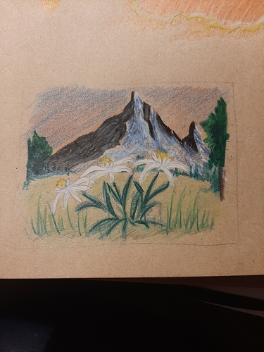 15966591136201126568659326396748