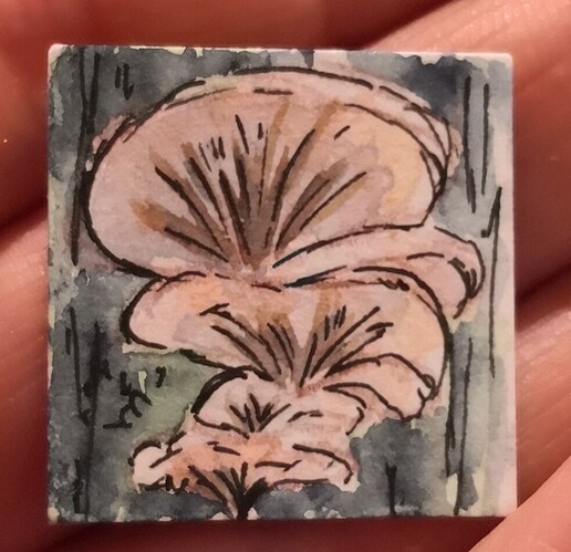 IMG_20241217_204202_edit_189236183871123