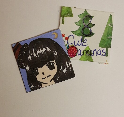 IMG_20211208_204336573