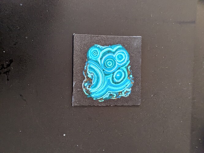 PXL_20221211_081818608.PORTRAIT