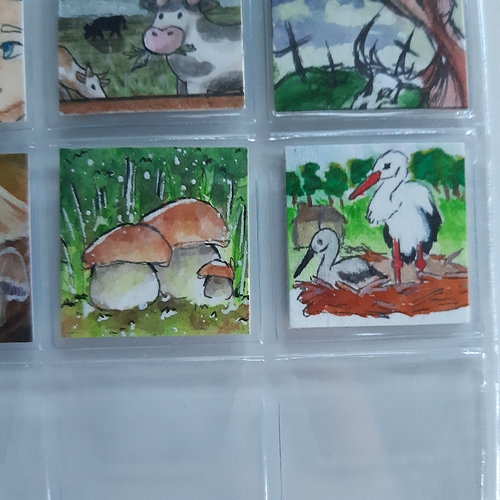 16086488866883141888466061285716