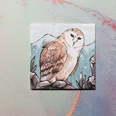 20221208_070021_resized