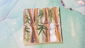 20221204_083242_resized