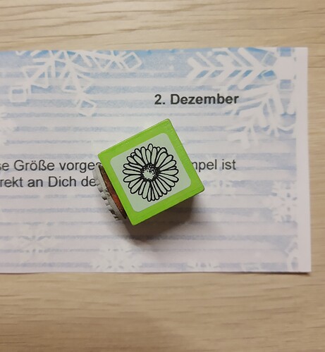 IMG_20231202_191318402