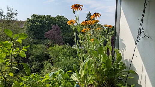 PXL_20220720_085731218