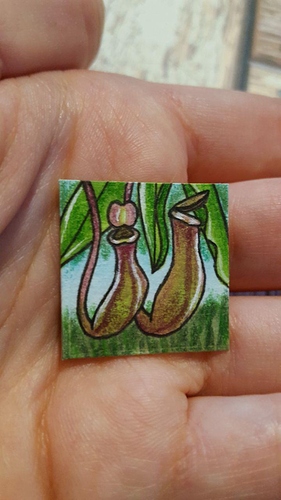 photo_2019-12-20_10-44-57