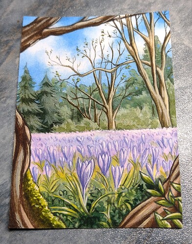 Polish_20230407_112323561