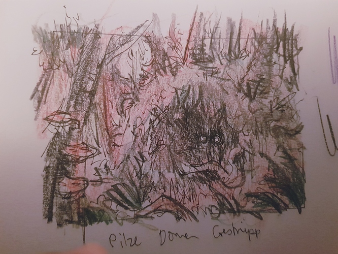 20200127_204504_resized