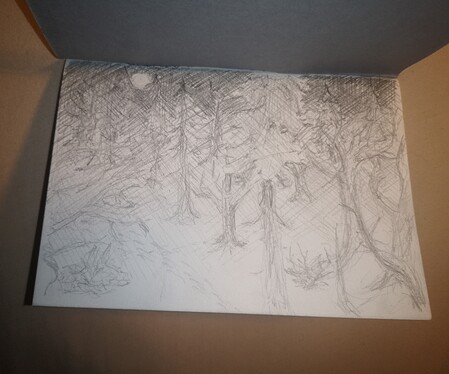 IMG_20231201_074912_edit_727626000640531