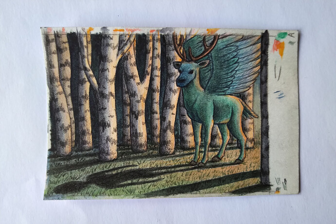 IMG_20240611_1740090