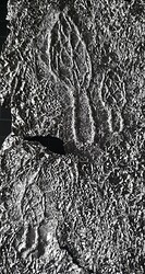 IMG_20230901_120911_edit_5814836466370520