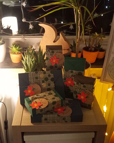 IMG_20221124_234425_467~2