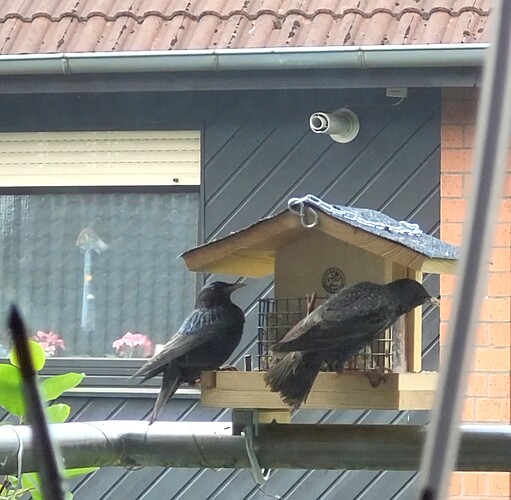 Screenshot_20240530_094910_Gallery