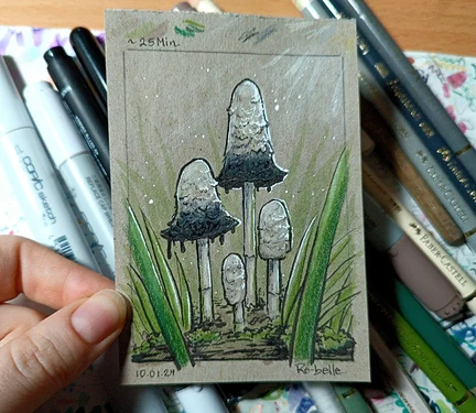 IMG_20240110_131401_1