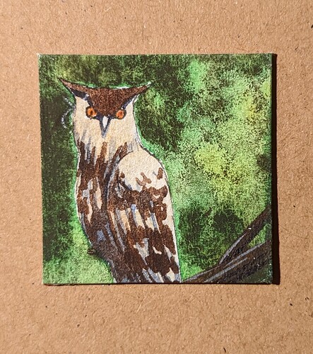 PXL_20221207_062440885