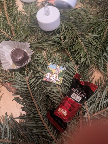 PXL_20241220_075536131