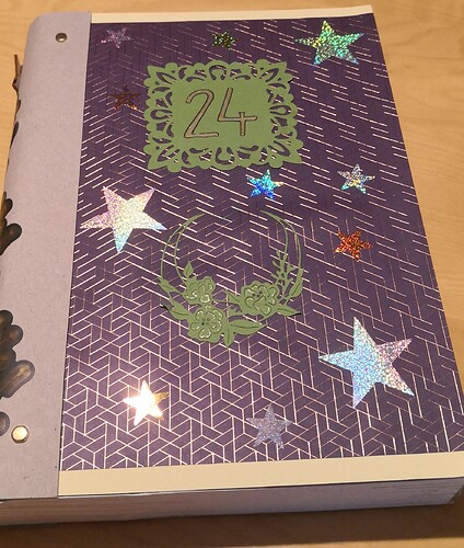 IMG_20241224_155549_edit_12854819937620