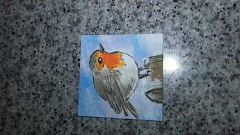 20191220_040626_resized