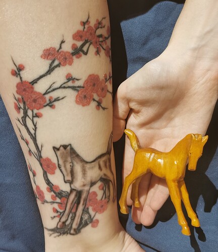 IMG_20221115_202201_edit_103108702435828