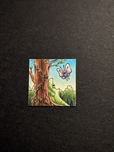 PXL_20231218_052206461.PORTRAIT.ORIGINAL