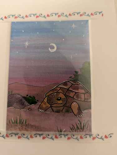 PXL_20241201_085357363