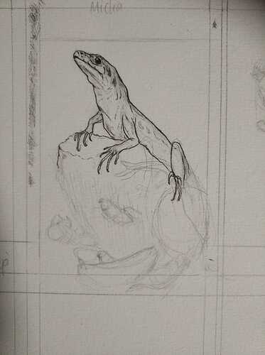 WhatsApp Image 2022-07-04 at 22.29.26