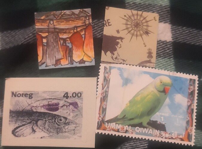 IMG_20241209_001311_edit_45700306742505