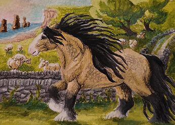 kakao_equidae-irish-cob-im-galopp