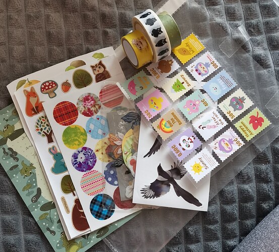 IMG_20231014_100701_edit_168938497894012