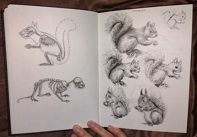 IMG_20220525_185632441 (2)