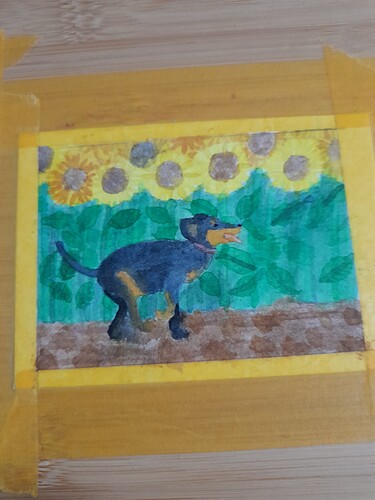 20240229_202606_Original