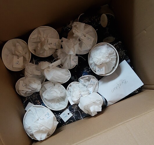 IMG_20211102_143319673