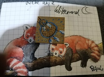 IMG_20211208_1940341