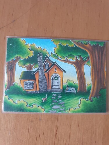 photo_2021-07-12_18-09-25