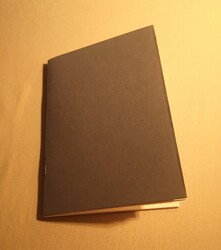 IMG_20231201_070401_edit_726356319257912