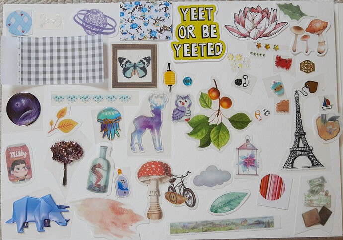 IMG_20220618_121335878