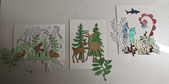 IMG_20210501_193531_edit_232665698502516