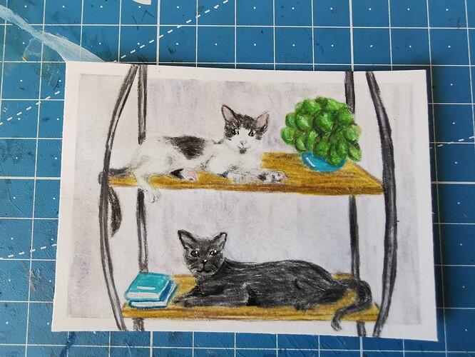 IMG_20220717_124030_edit_248383057626160