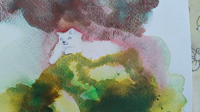 IMG_20240616_164822728