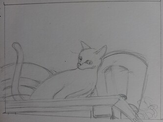 Picsart_22-07-28_20-47-14-648