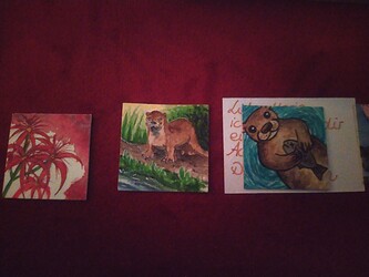 IMG_20211219_130009_1