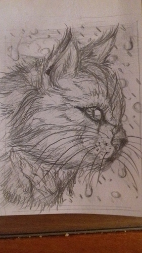 1608707671161-2125419671