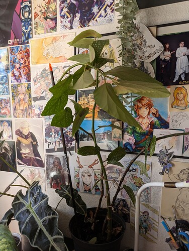 PXL_20230929_121652414