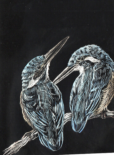 Kratzkarten Eisvögel