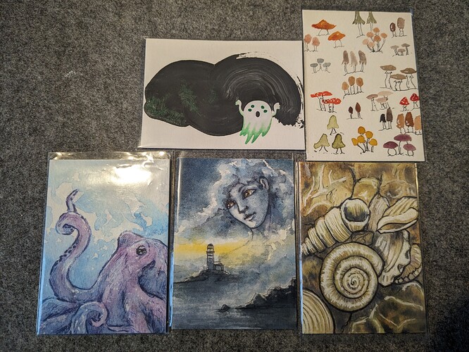 PXL_20240216_114335333