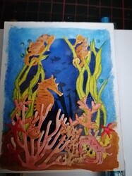 IMG_20230108_0851371