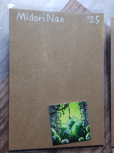 20250222_180102_resized