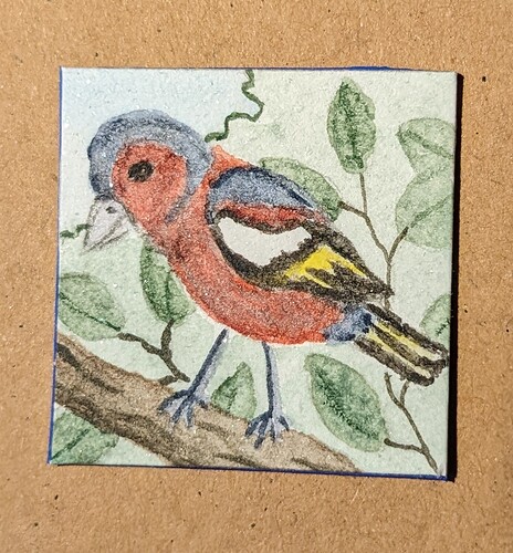 PXL_20221203_090511817